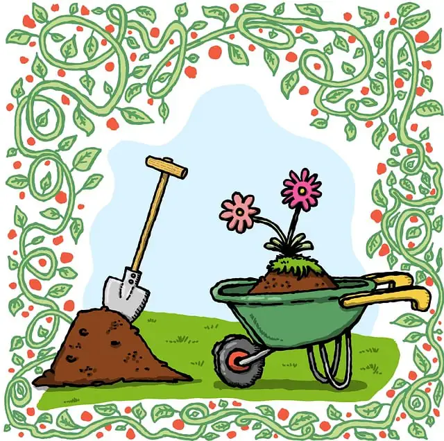 Gardening-related image symbolizing healthy personal growth.
