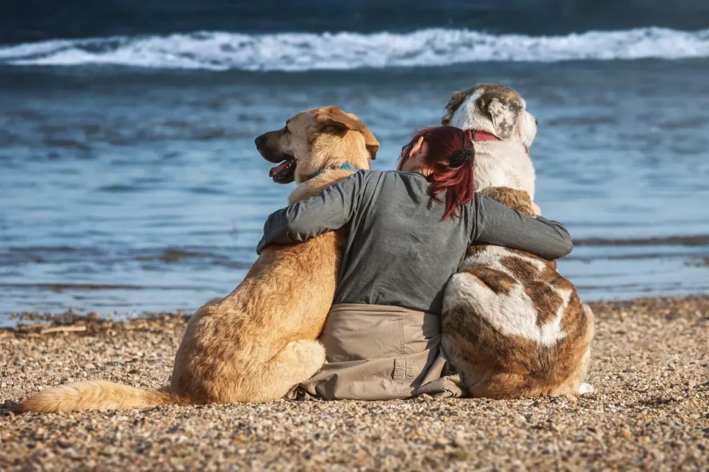 Girl on beach with two big dogs