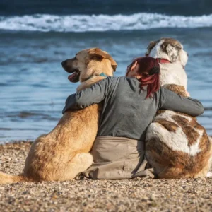 Girl on beach with two big dogs